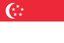 UAE flag